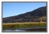 20/IMG_4434 kim site.jpg